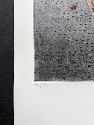 Jurgen Schneider - gisteren wordt het beter - complete set met drie handgekl. etsen, doos, tekst kopen? Bied vanaf 159!