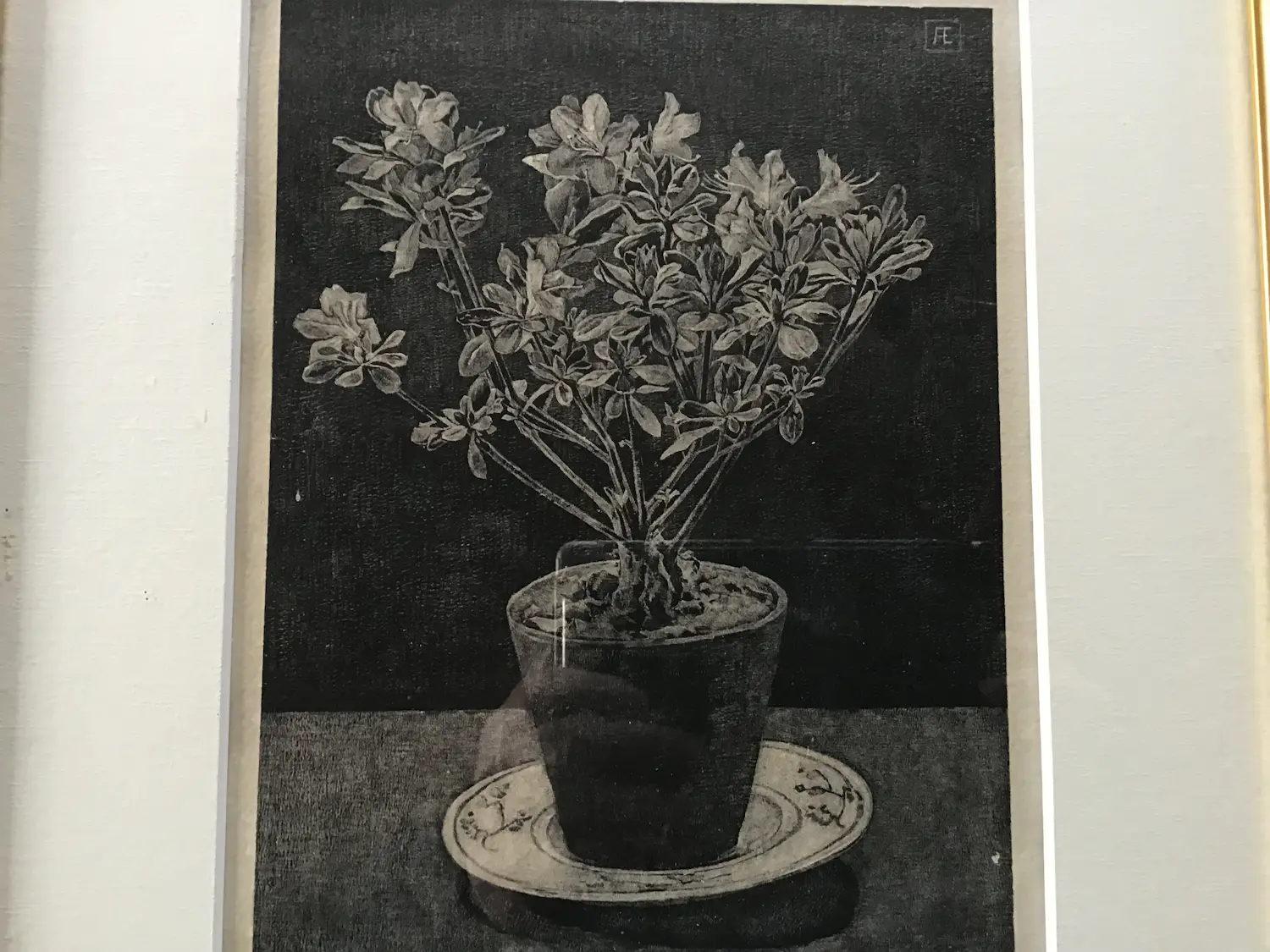 Anna Egter van Wissekerke (1872-1969)