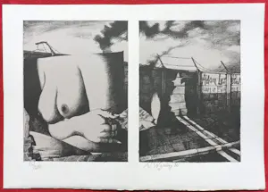 Nicolaas Wijnberg - Naakt over de schutting, originele dubbelpagina litho kopen? Bied vanaf 50!