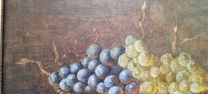 Hans Habraken - Stilleven van fruit kopen? Bied vanaf 100!
