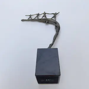 Jaap Hartman - De Ondersteuning kopen? Bied vanaf 69!