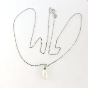 14k witgouden collier met hanger met parel en briljant geslepen diamant kopen? Bied vanaf 250!