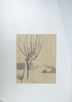 Wim de Bruin - Aquarel met inkt op papier, Amelisweerd kopen? Bied vanaf 1!