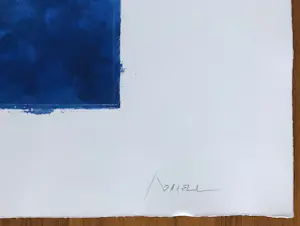 Alfons Borrell Palazon - Gesigneerde ets - 68/75 - 2004 kopen? Bied vanaf 125!