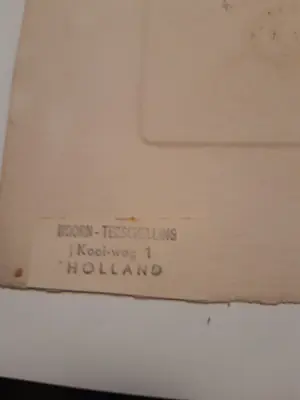 Jan Deodatus - Kastanjes kopen? Bied vanaf 30!