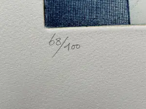 Ronald Tolman - DIADOLOS kopen? Bied vanaf 95!