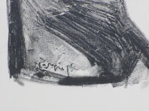 Reijer Stolk - Vrouwsportret - Lithografie kopen? Bied vanaf 1!