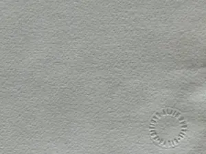 Jacqueline Debutler - 2 Lithographies kopen? Bied vanaf 170!