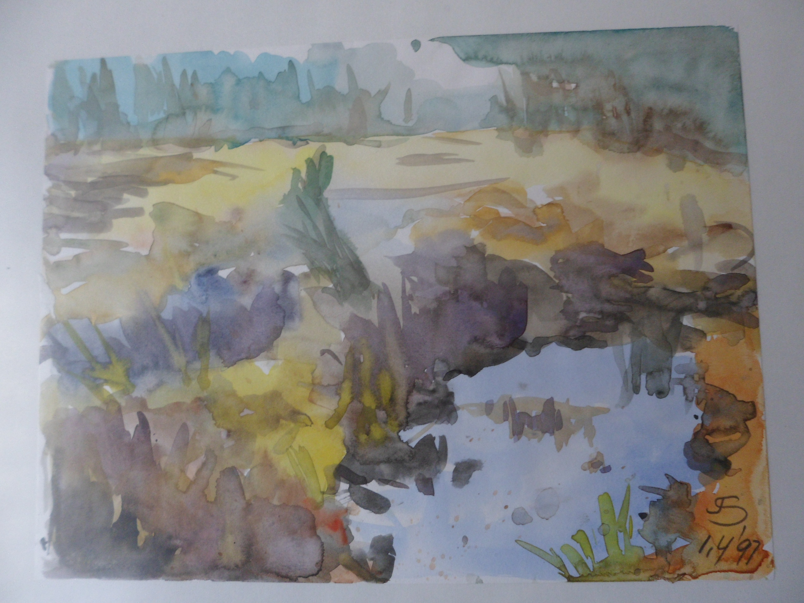 Niet of onleesbaar gesigneerd - Gesigneerd met J.S, waterplas kopen? Bied vanaf 1!