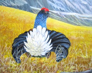 Ari Stolk - Hoenders in berglandschap kopen? Bied vanaf 35!