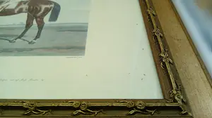 Harry Hall - Nutwith, the winner of the Great St. Leger Stakes at Doncaster 1843 kopen? Bied vanaf 50!