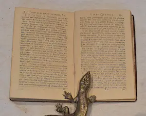 Antiquarisch Boek - INSTITUTIONES LOGICÆ IN USUM TIRONUM SCRIPTÆ Door Antonio Genuensi kopen? Bied vanaf 45!