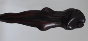 Anton ter Braak - Give me a Hug kopen? Bied vanaf 250!