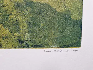 Hans Buining - in zeer kleine oplage (20) gemaakte Ets & Aquatint "Guanfeng" gesigneerd kopen? Bied vanaf 26!