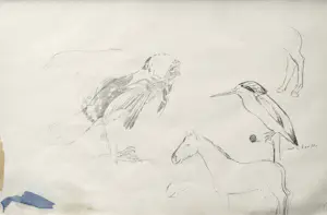 Alida van Houten - Tekenmap (24 tekeningen) kopen? Bied vanaf 450!