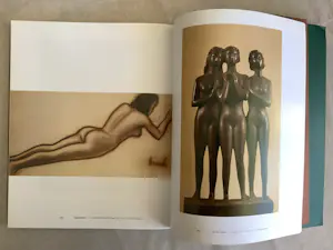 Constant Permeke - Constant Permeke monografie kopen? Bied vanaf 20!