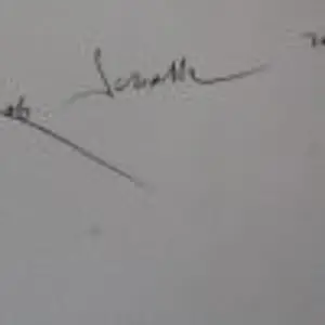 Rob Scholte - Grote zeefdruk: the origin of species - 2009 kopen? Bied vanaf 125!