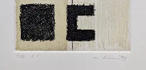 Thomas Ankum - Zonder Titel, ets, oplage 2 ex., 1993 gesigneerd/genummerd, mint kopen? Bied vanaf 60!