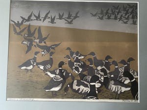 Piet Veen - Rotganzen op Schiermonnikoog kopen? Bied vanaf 100!