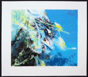 Mattie Schilders - Zeefdruk, Water, Bron van leven 2 kopen? Bied vanaf 1!