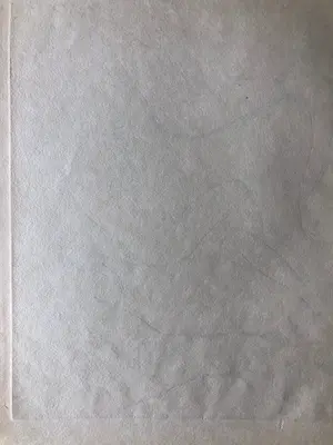 Kees van Dongen - Kees van Dongen - Femmes - 1925 kopen? Bied vanaf 495!