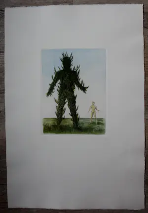 Jean Paul Vroom - Ets/aquatint: Metamorphoses kopen? Bied vanaf 59!