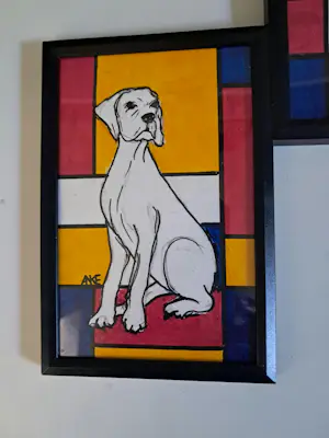 Anke Peddemors - Vierluik honden kopen? Bied vanaf 30!