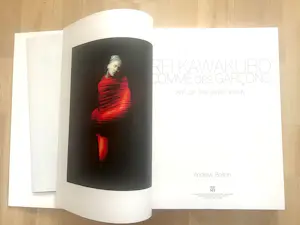Buy Rei Kawakubo - Andrew Bolton / Comme des Garçons – Art of the In-Between First Printing? Bid from 99!