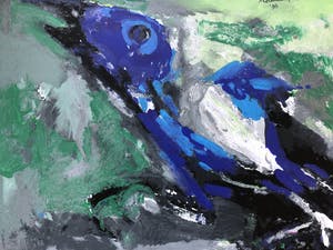 Nico Molenkamp - Blauwe vogel kopen? Bied vanaf 140!