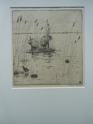 Johan Hemkes - EINEKUORREN kopen? Bied vanaf 35!