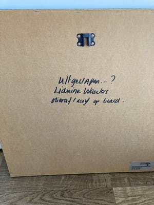 Liduine Wauters - Acryl op board ‘ Uitgeslapen ? ‘ kopen? Bied vanaf 30!