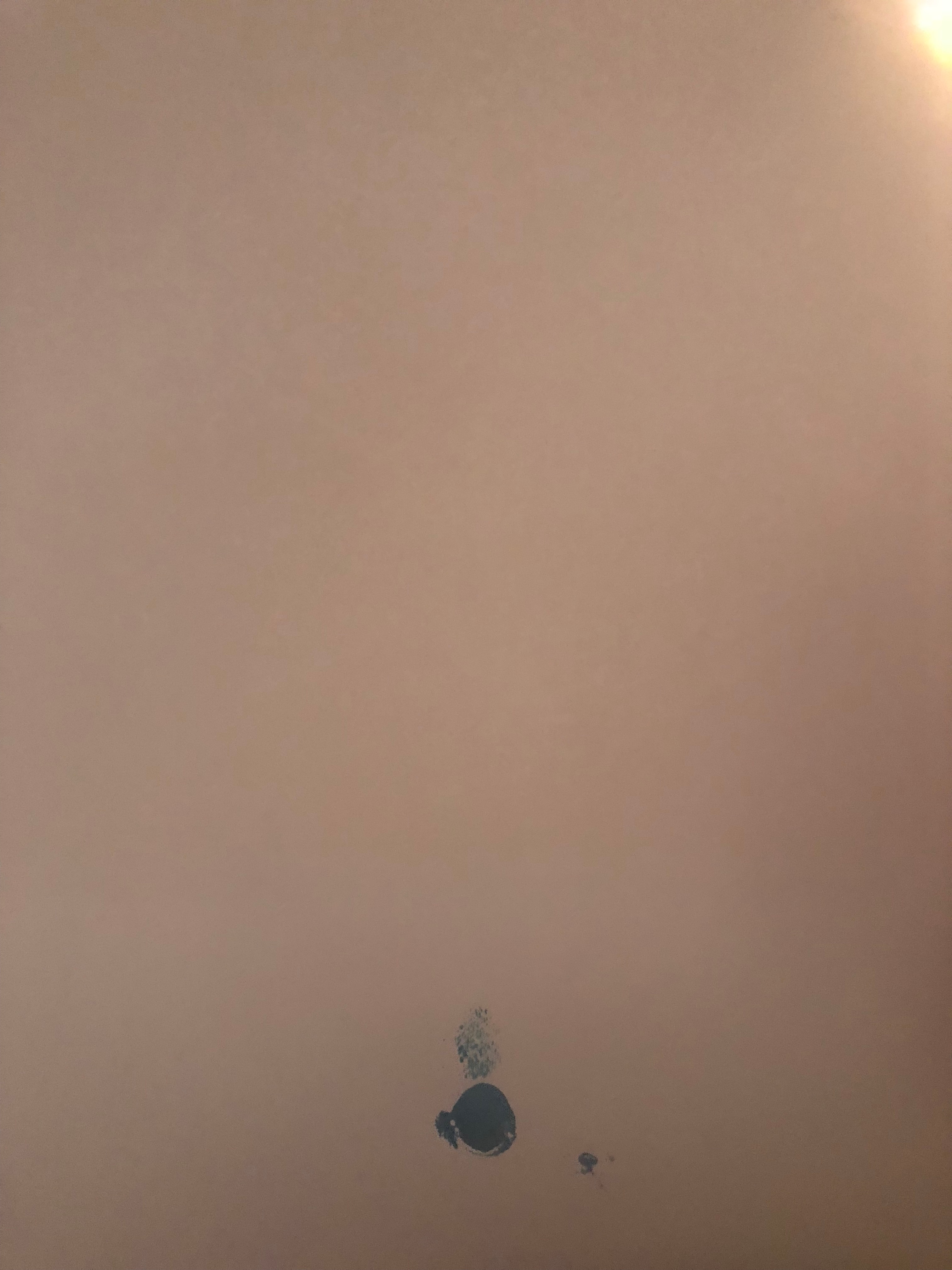 Hugo Heyrman - La Côte de l'Air kopen? Bied vanaf 35!