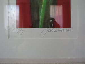 Juul Kortekaas - Amaryllis kopen? Bied vanaf 150!