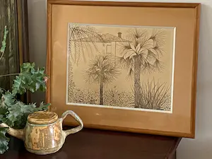 Alexandrine - Palmbomen kopen? Bied vanaf 100!