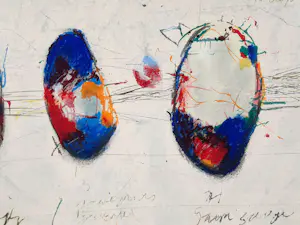 Cole Morgan - Zeefdruk - Seals II - HC8/20 - INGELIJST - 1998 - 25817 kopen? Bied vanaf 185!