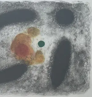 Joan Miro - handgesigneerde ets/aquatint | 'Nous Avons' | 1959 kopen? Bied vanaf 1!