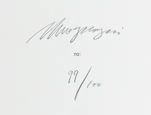 Zhuang Hong Yi - Gelimiteerde uitgave met bijbehorende gesigneerde zeefdruk! kopen? Bied vanaf 500!