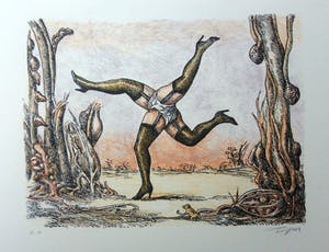 Roland Topor - l'etoile de chaire kopen? Bied vanaf 200!