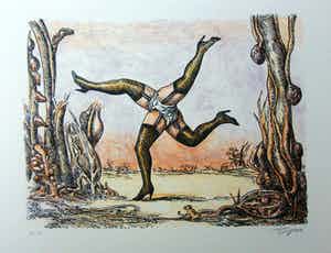 Roland Topor - l'etoile de chaire verkocht voor € 200!