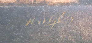 Hans van Wijk - Tak met kever kopen? Bied vanaf 200!