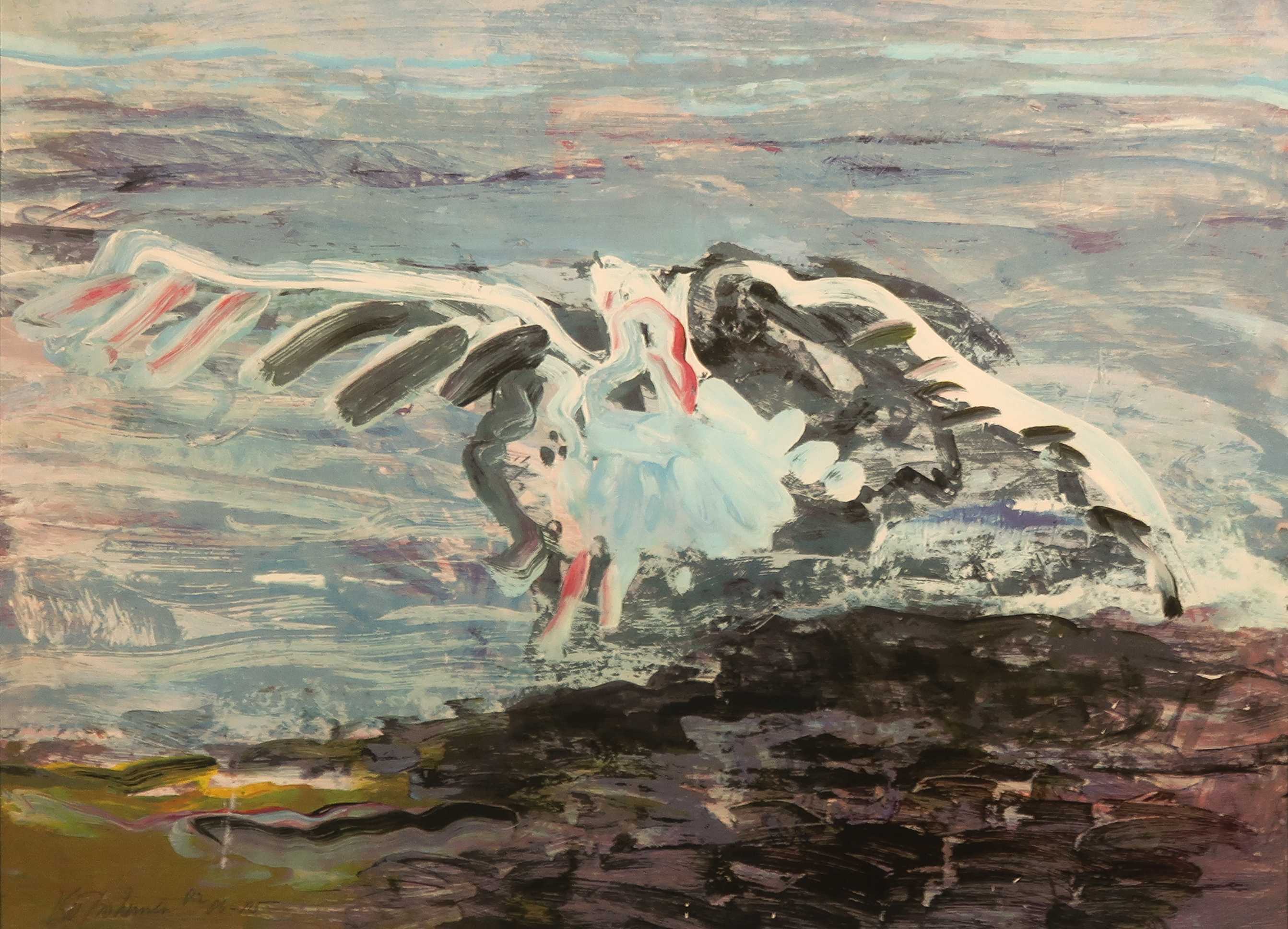 Kees van Bohemen - Litho, Meeuw - Ingelijst kopen? Bied vanaf 100!