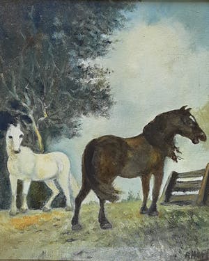 Anne Hoff - Twee paarden kopen? Bied vanaf 39!