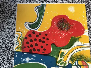 Jan Cobbaert - afgeprijst : prachtige genummerde en gesigneerde litho kopen? Bied vanaf 69!