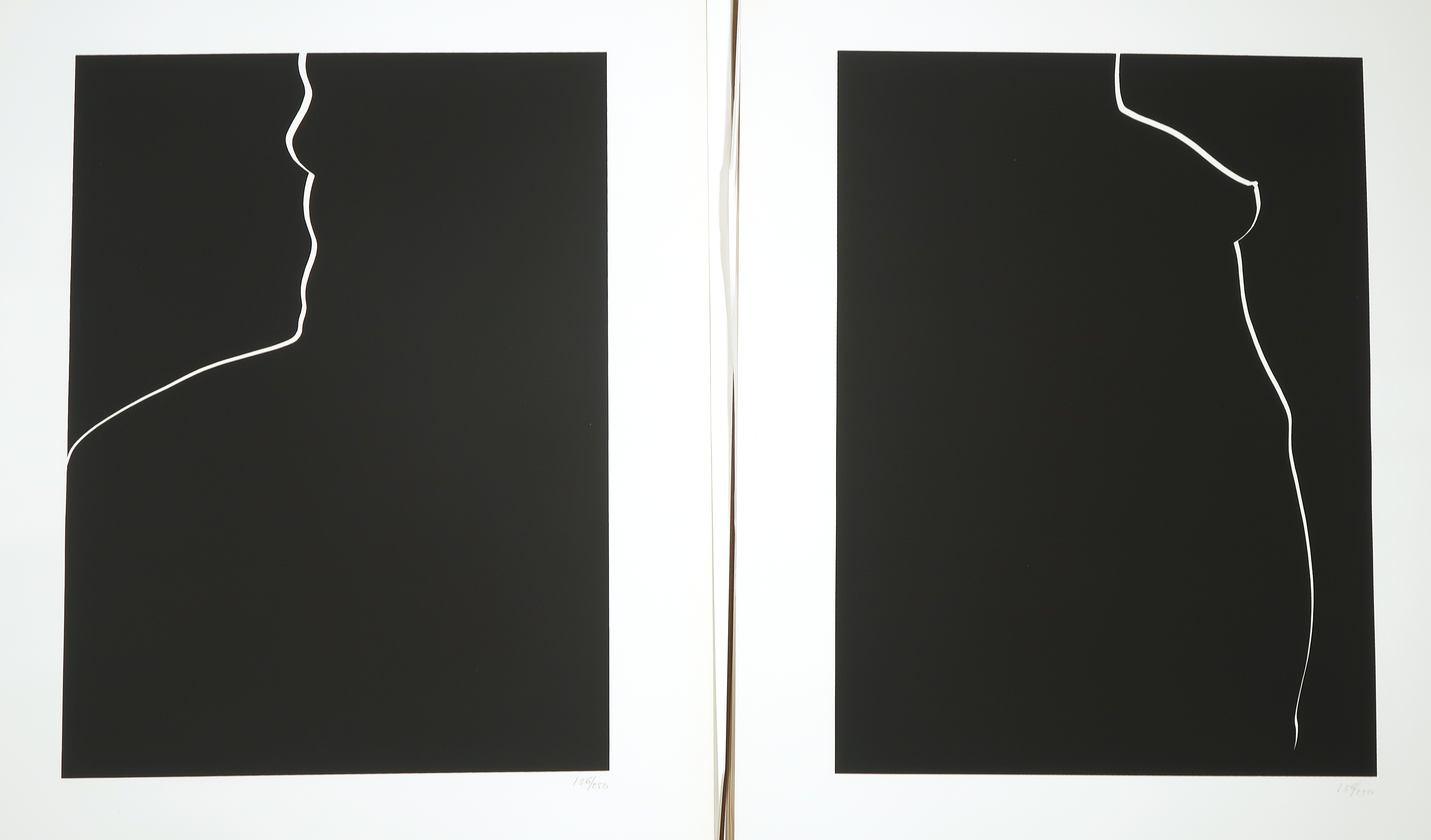 Harry van Kuyk - Grafinu, map met 24 zeefdrukken  kopen? Bied vanaf 180!