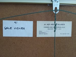 Hannelore Groot - Noordeloos - Gele violen kopen? Bied vanaf 300!