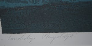 Hans Heijman - Landschap Vleugeldijk - grote kleurets oplage 60 ex. kopen? Bied vanaf 90!