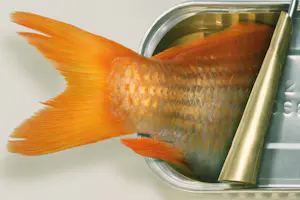 Dominic Rouse - 'Fish Can & Fish Can't' (2011) - Twee prints kopen? Bied vanaf 140!