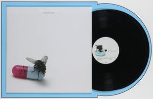 Damien Hirst - Gesigneerde LP-hoes, Red Hot Chili Peppers album: I'm with you - Ingelijst kopen? Bied vanaf 1!