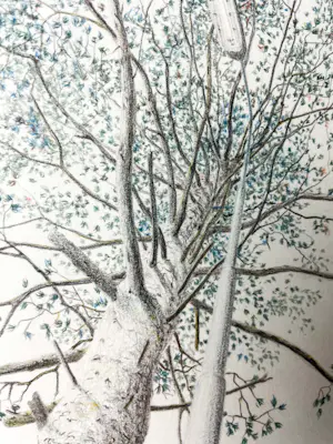 Wim van der Meij - Boom en lantaarnpaal kopen? Bied vanaf 75!