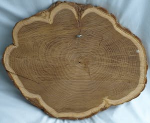 Klaas Pijlman - Liggend naakt – Chamotte / Aardewerk op hout – ca 1979 kopen? Bied vanaf 50!